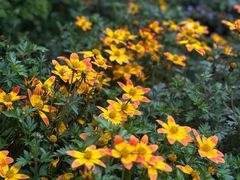 -首开·龙湖成都西宸天街