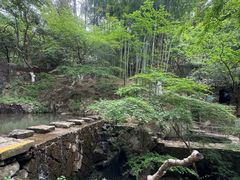 -莫干山风景区