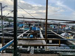 -蓝湾碧波·老字号·疍家非遗海上餐厅