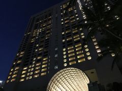 -新加坡丽思卡尔顿美年酒店