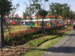 -菊园百果园