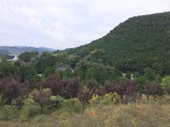 -四门塔风景区