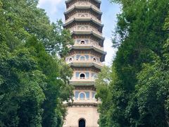 -灵谷景区