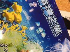 -上海海洋水族馆