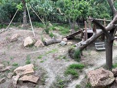 -宁波野生动物园