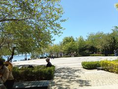 -黑石礁公园