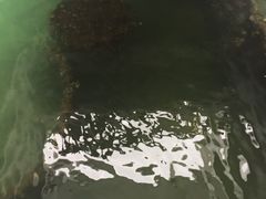 -珍珠港国家纪念馆