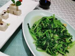 鸡毛菜-小白鲨工夫潮膳(曲江店)