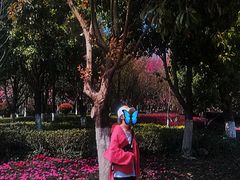 -洛龙公园