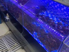 -苏小胖龙虾工坊·私房菜(金鼎华府店)