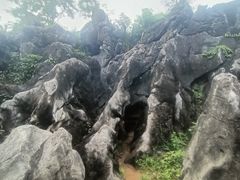 -千岛湖石林