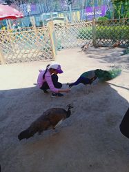 点击看大图 -萌宠亲子动物乐园(槐房万达店)