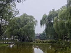 -石家庄市植物园