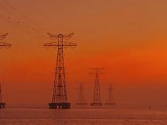 -宝安西湾红树林湿地公园