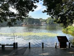 -荔湾湖公园