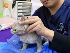 -美联众合动物医院·24h京西诊疗中心