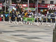 -江燕路万科里