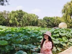 -北陵公园