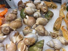 -盛宴自助餐厅(运达喜来登店)