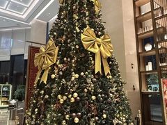 -福州泰禾铂尔曼酒店·大堂酒廊