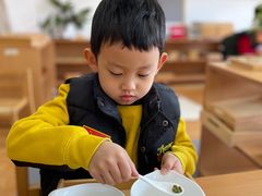 -玛利娅蒙特梭利双语幼儿园·托育(百家湖直营园)