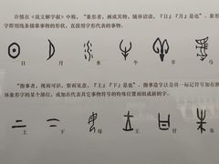 -安阳博物馆