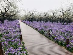 -江苏三台山国家森林公园