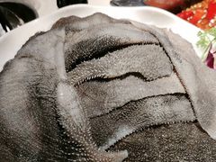 -二荆条·蜀鲜汇城市森林火锅