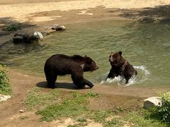 -石家庄市动物园
