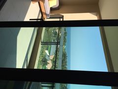 雅居乐莱佛士酒店-海南清水湾莱佛士酒店