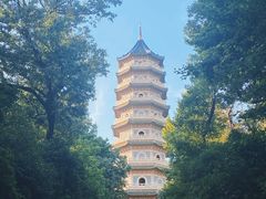 -灵谷景区