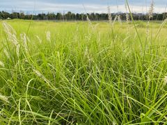 -汉长安城未央宫国家考古遗址公园