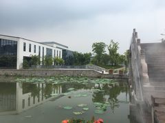 -湘湖金融镇