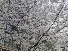 -余艳梅拌面世家(马场横路店)