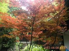 -凤城河风景区