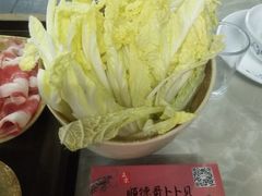 -顺德哥卜卜贝(旗舰店)
