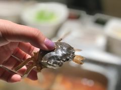 -海底捞火锅(银泰中心店)