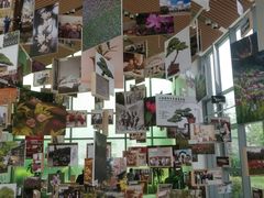 -上海植物园-4号门售票处