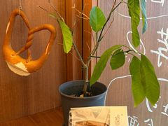 -慢熟面包店bud bread(孩儿巷店)
