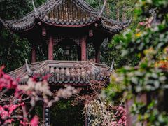 -成都杜甫草堂博物馆