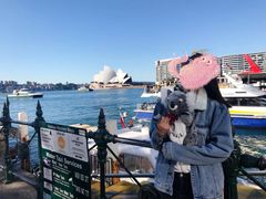 -悉尼歌剧院