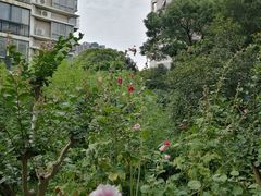 -南京市实验幼儿园