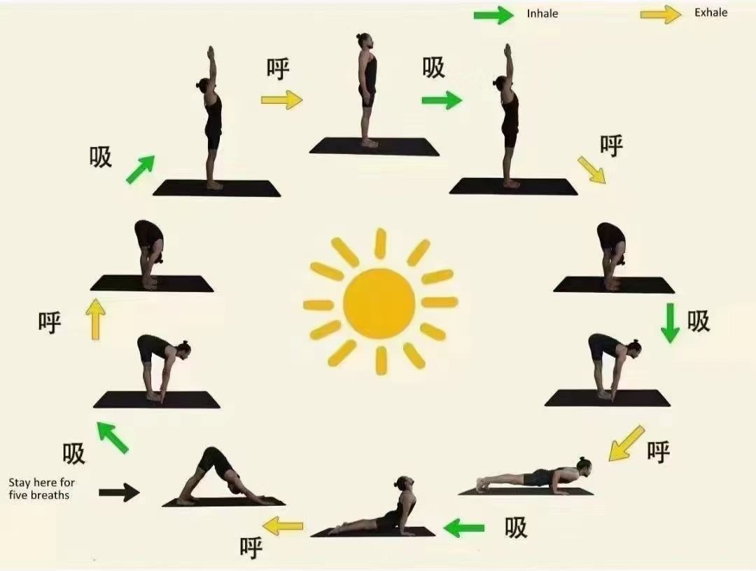 瑜伽致敬太阳