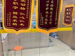 -米苏动物医院·犬猫专科·骨科外科内窥镜