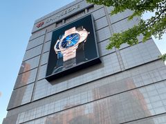 -新世界百货(明洞总店)