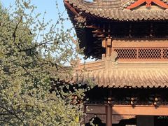 -钱王祠