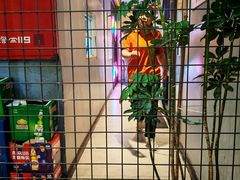 -火联烧烤(学院路创始店)