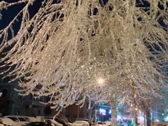 -元盛居(亚泰大街店)