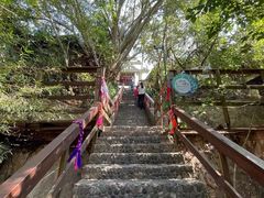 -西双版纳原始森林公园