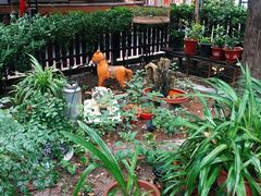 -正宗天津烧麦馆(柳州路店)